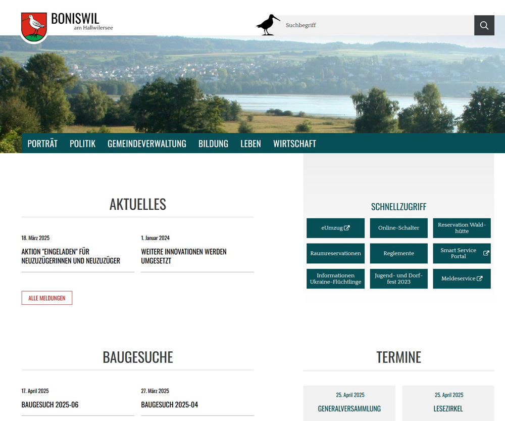 printscreen website
