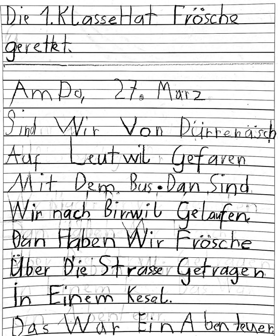 kroetenretter6