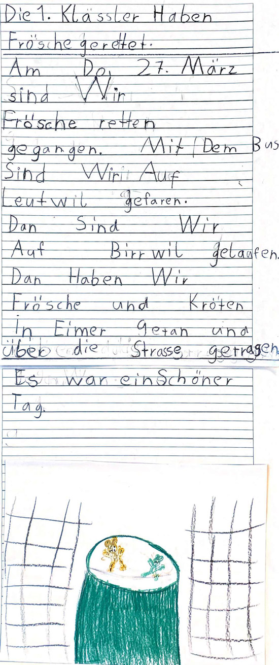 kroetenretter7