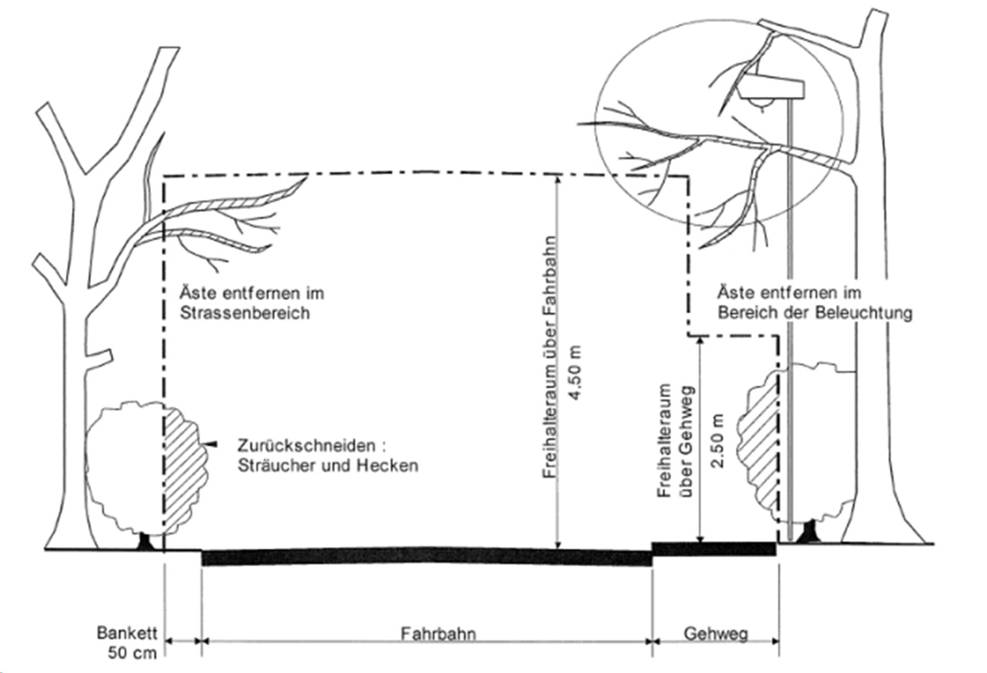 zurueckschneiden