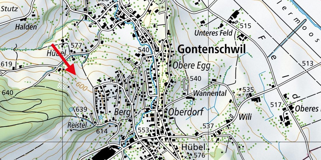 gontenschwil
