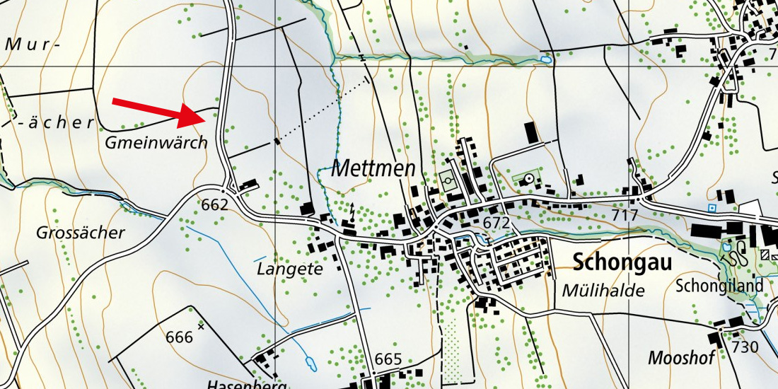 schongau