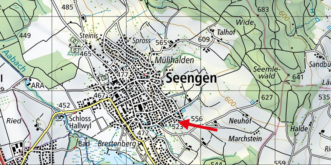 seengen