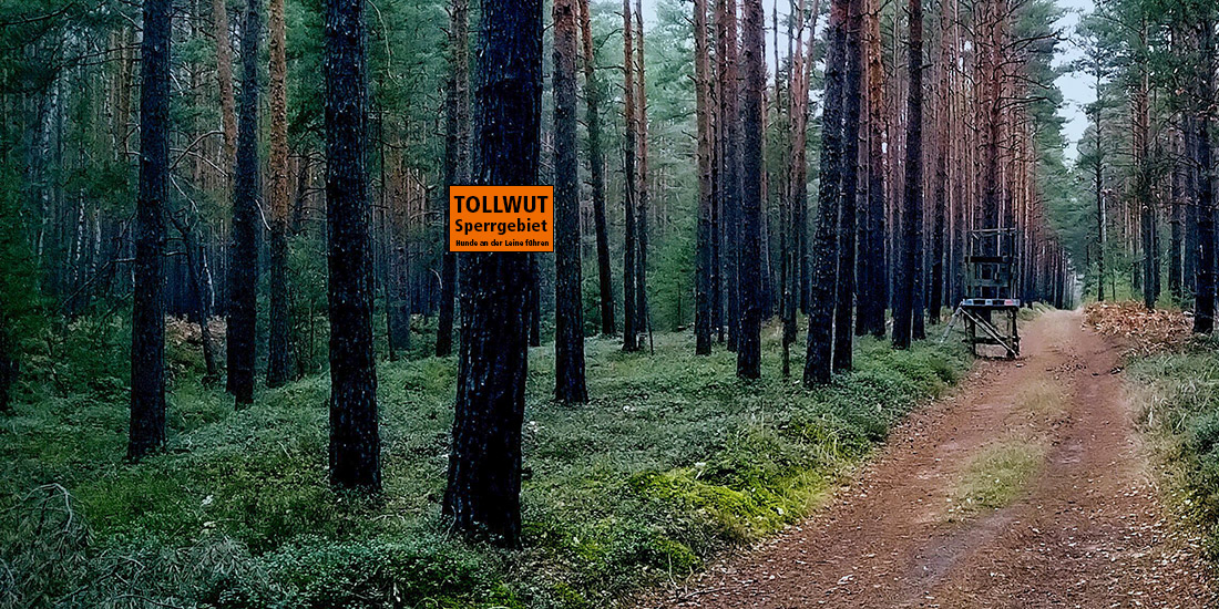 tollwut sperrgebiet