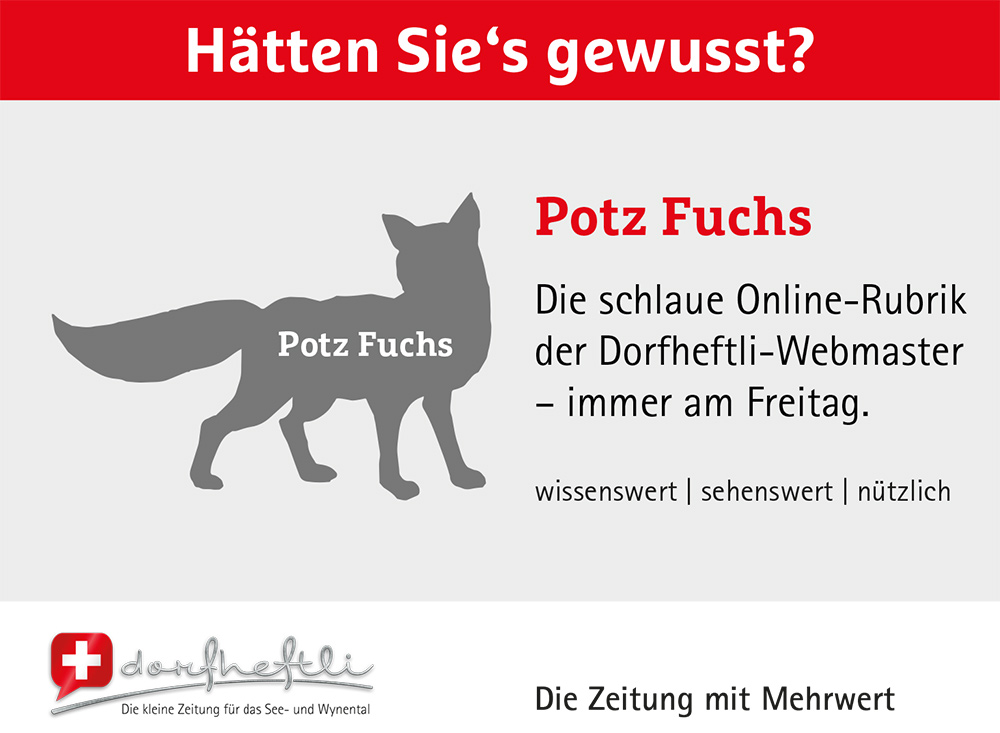 Potz Fuchs