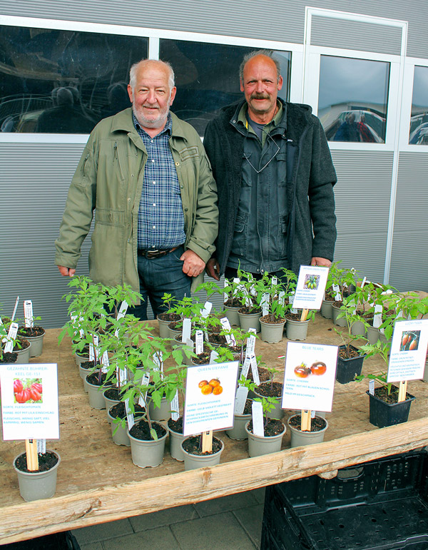 tomaten