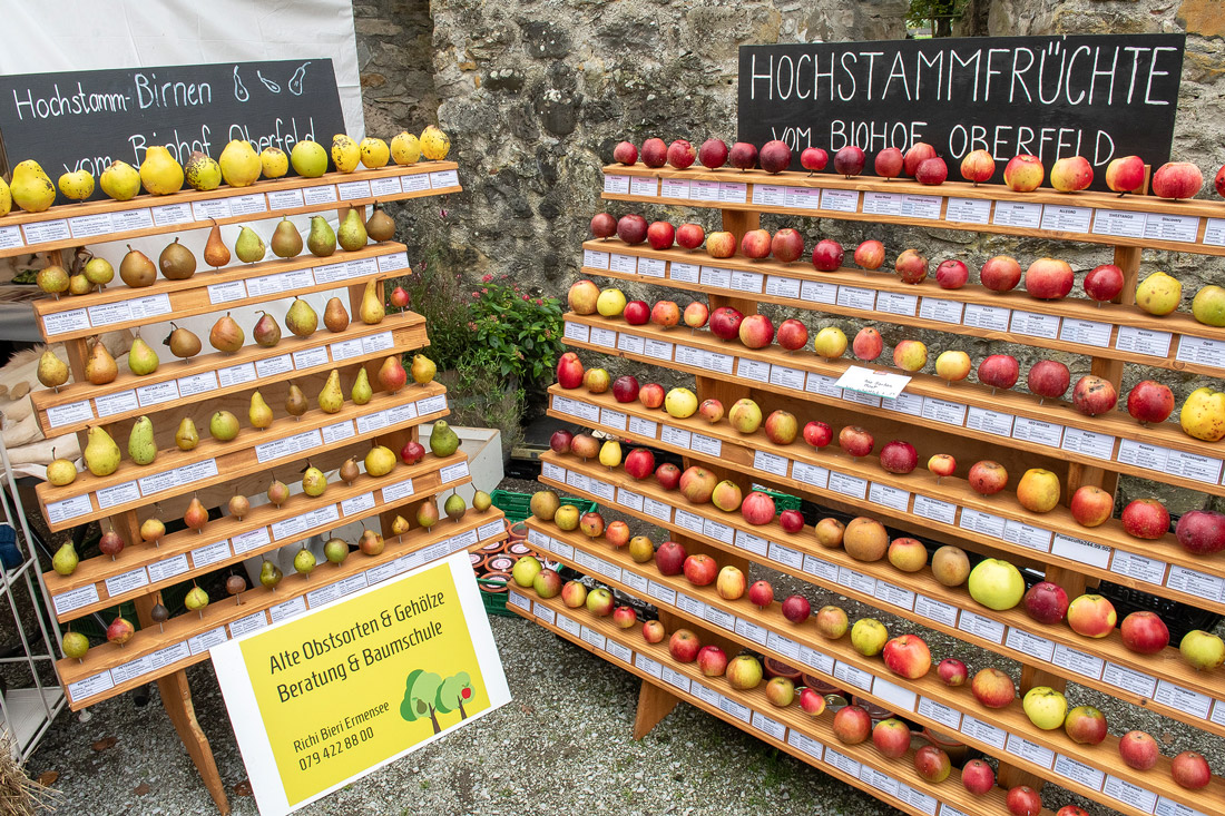 mosttage herbstmarkt schloss hallwyl 2