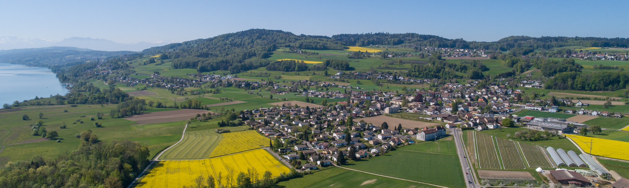 DJI_0877.jpg
