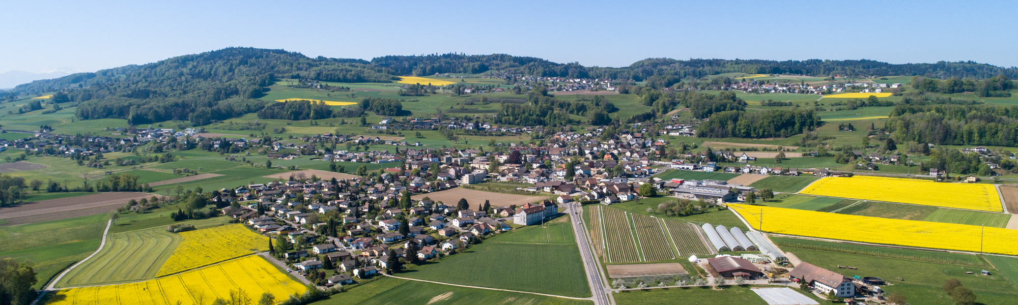 DJI_0878.jpg