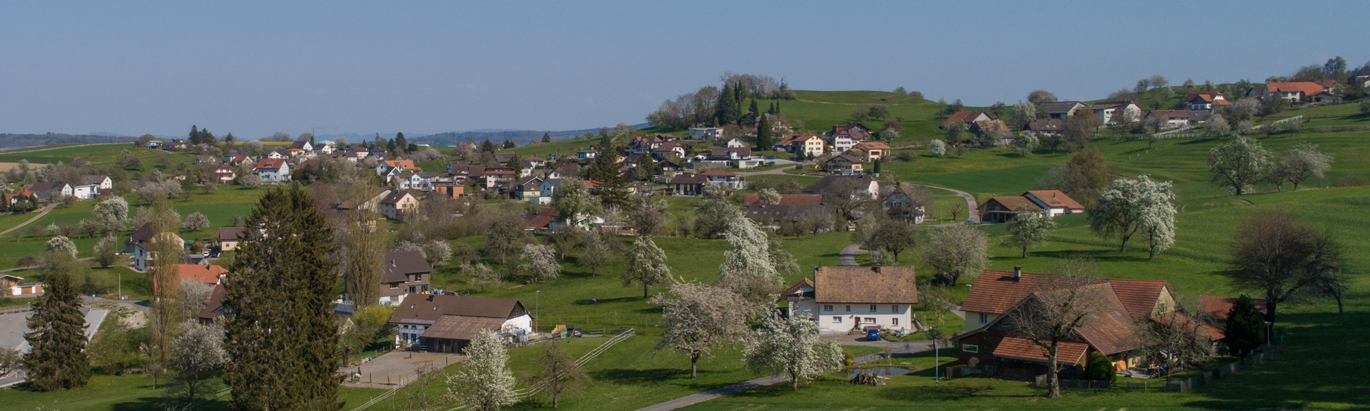 DJI_0777.jpg