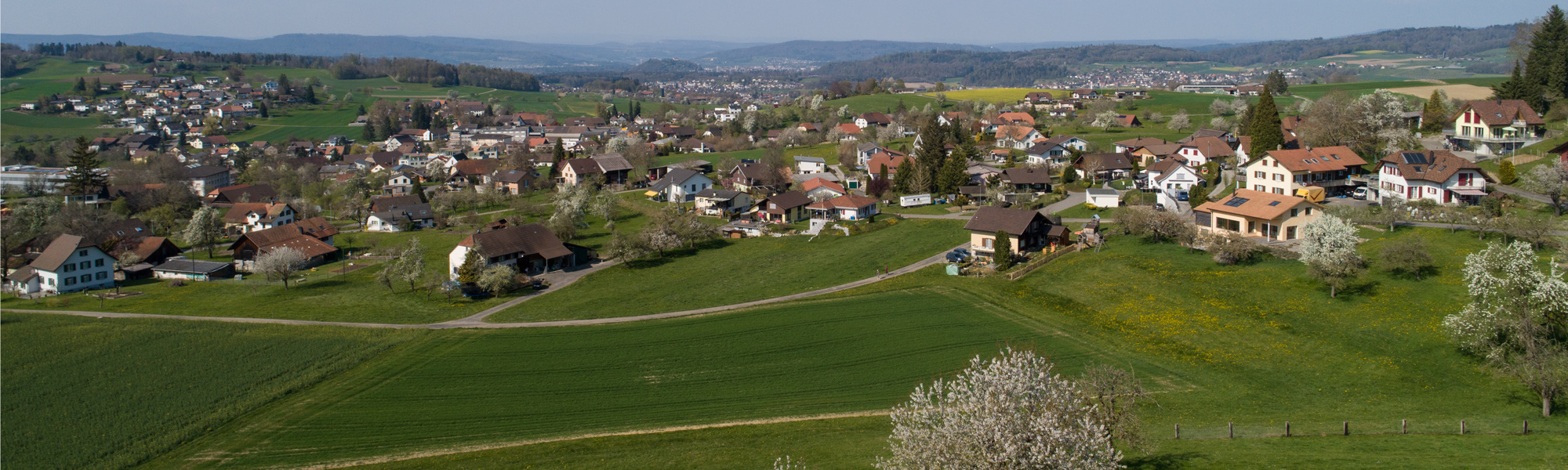 DJI_0780.jpg