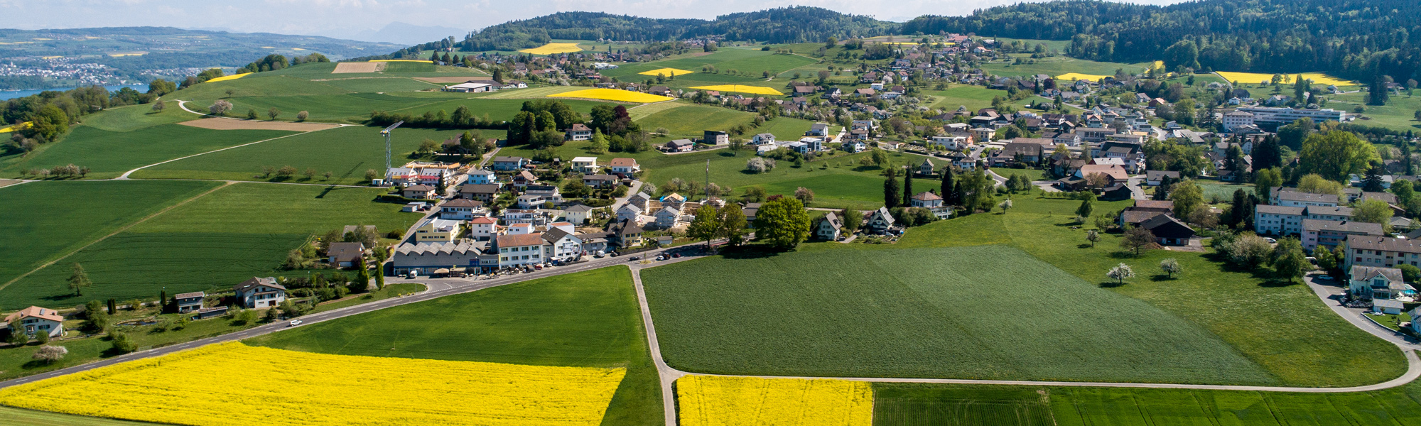 DJI_0921.jpg