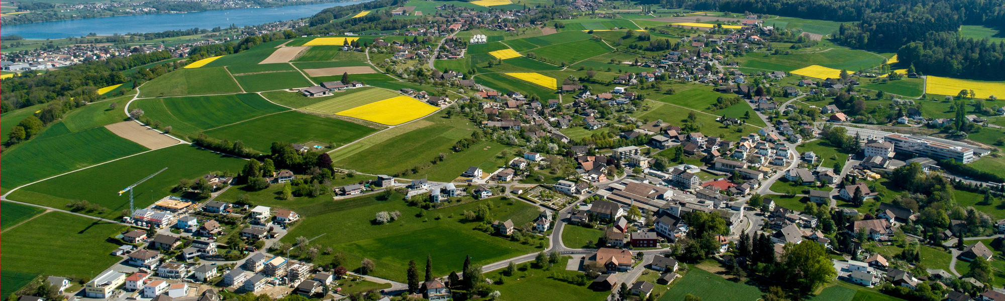 DJI_0925.jpg