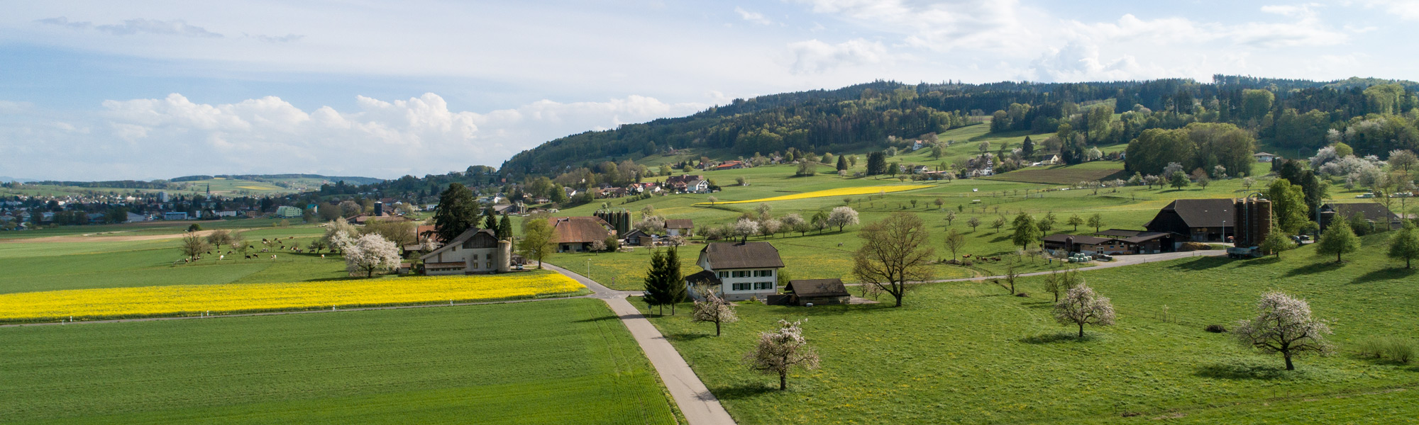 DJI_0850.jpg