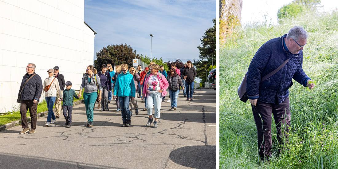 Abmarsch Richtung Bach, um die ersten Heilkräuter zu finden. Walter Käch pflückt die ersten Kräuter und erklärt mehr darüber.